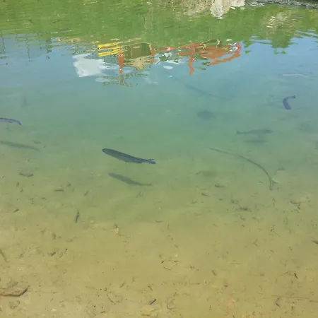 Haus Steinhof Casa de Férias *