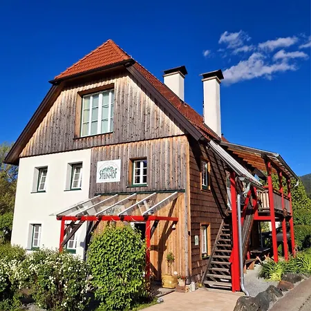 Haus Steinhof * سانكت جورجين أوب موراو