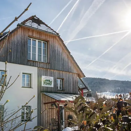 Haus Steinhof Dom wakacyjny