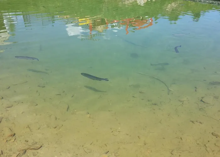 Haus Steinhof Дом отдыха *