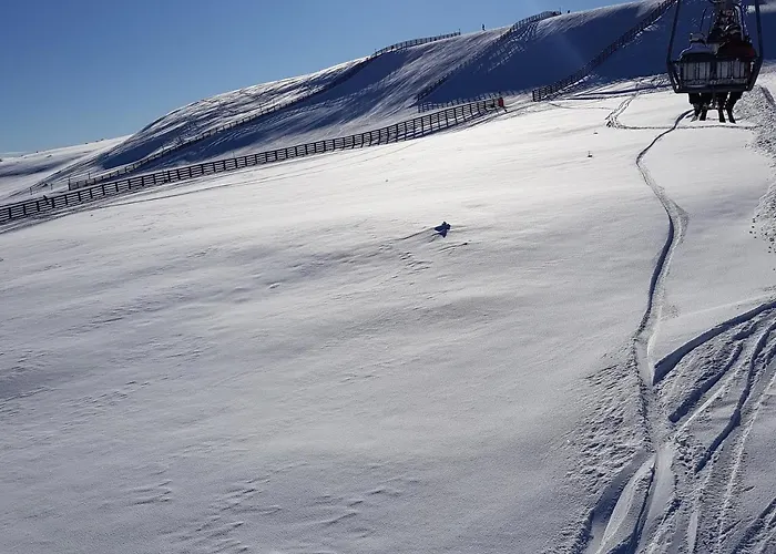 Дом отдыха Haus Steinhof *