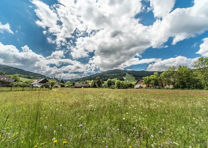Haus Steinhof * Sankt Lorenzen ob Murau
